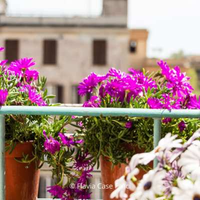 home staging di casa vacanze a Roma - balcone (dettaglio)