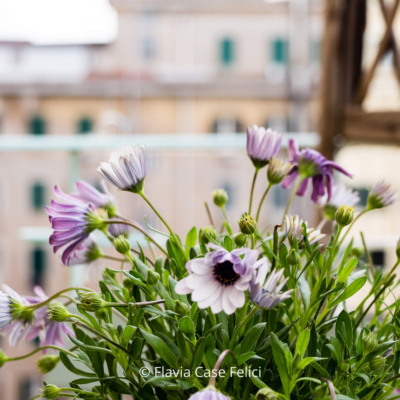 home staging di casa vacanze a Roma - balcone (dettaglio)